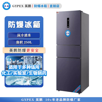 BL-250L（SM）芸丰防爆冰箱 高校专用防爆冰箱250L